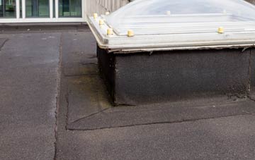 disadvantages of East Williamston flat roofs