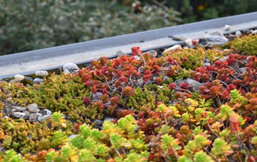 the cost of East Williamston green roof installation