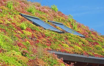 East Williamston living roof systems