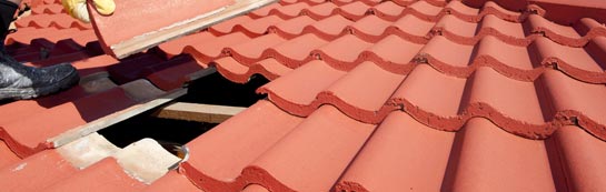 compare East Williamston roof repair quotes