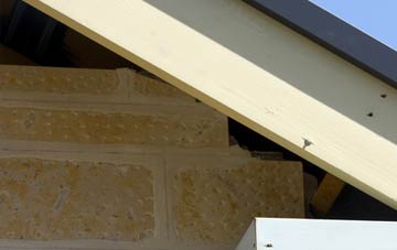 soffit repair East Williamston