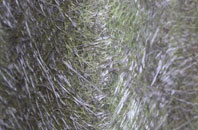 East Williamston fibreglass roof work