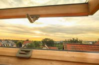rated East Williamston roof window companies